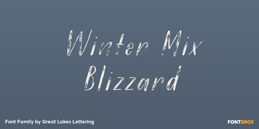 Winter Mix Blizzard Poster