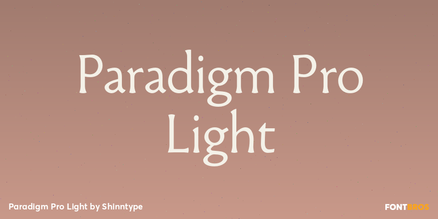 Paradigm Pro Light Poster