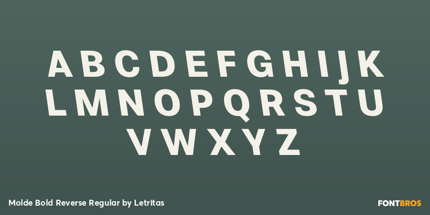 Molde Bold Reverse Regular Font Poster #2