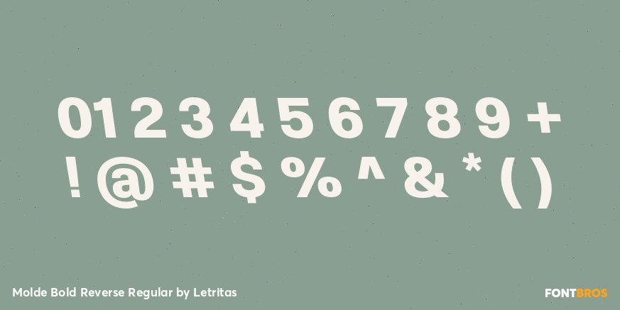 Molde Bold Reverse Regular Font Poster #4