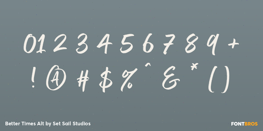 Better Times Alt Font Poster #4