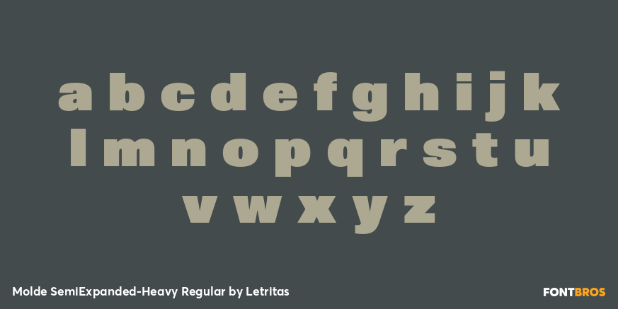 Molde SemiExpanded-Heavy Regular Font Poster #3