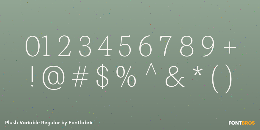 Plush Variable Regular Font Poster #1