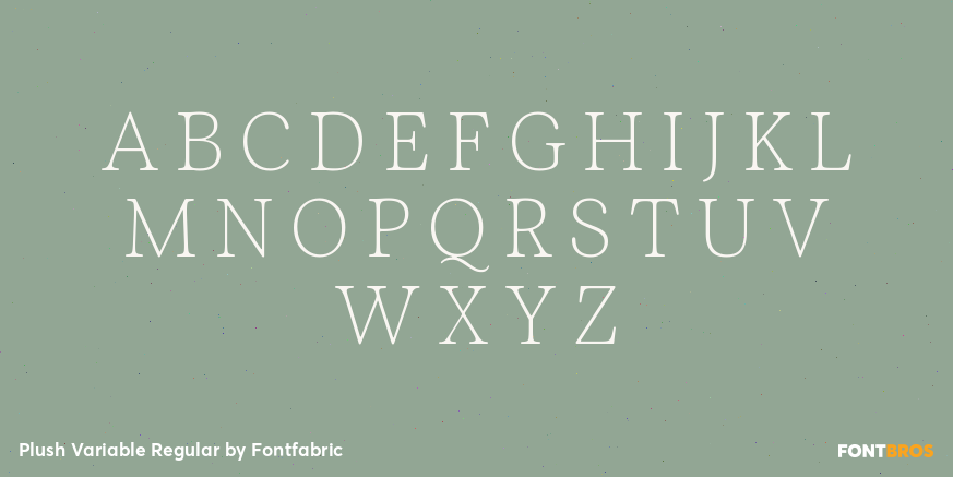 Plush Variable Regular Font Poster #1