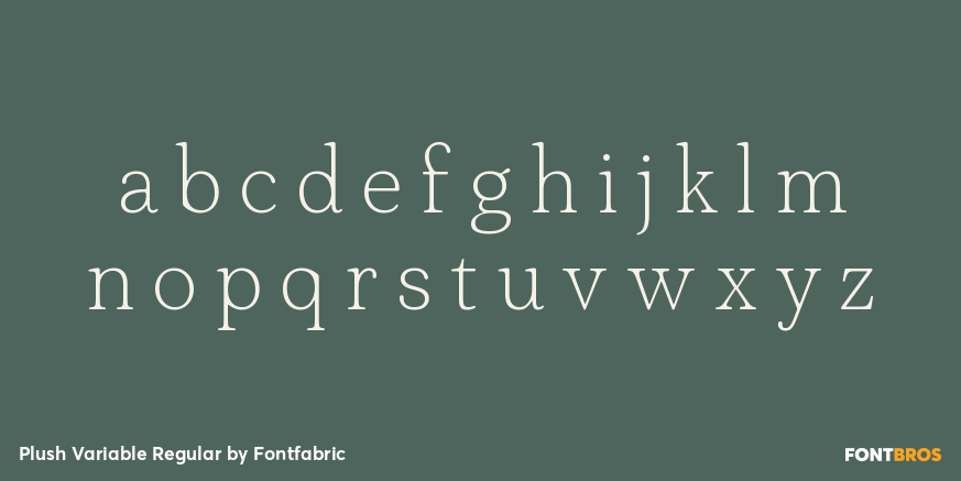 Plush Variable Regular Font Poster #1
