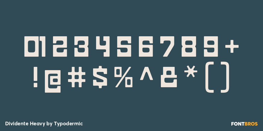 Dividente Heavy Font Poster #4