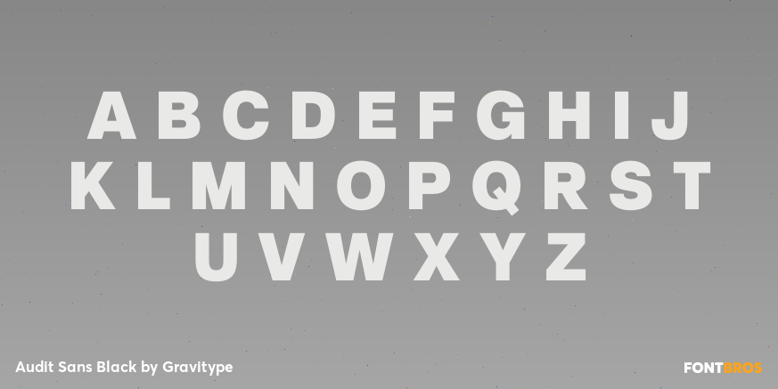 Audit Sans Black Font Poster #2