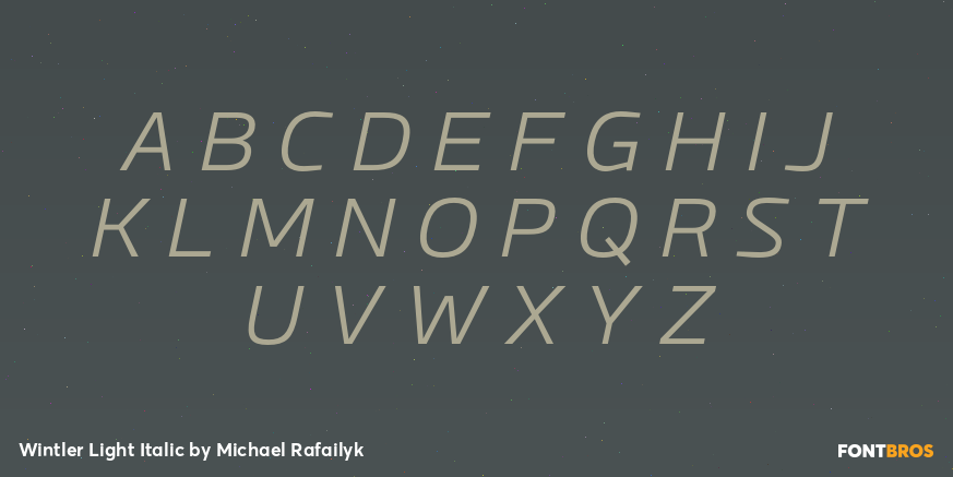 Wintler Light Italic Font Poster #1