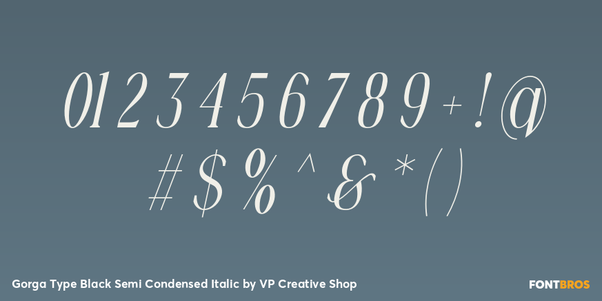 Gorga Type Black Semi Condensed Italic Font Poster #4