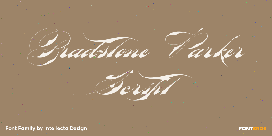 Bradstone Parker Script Font Poster