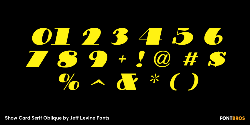 Show Card Serif Oblique Font Poster #1
