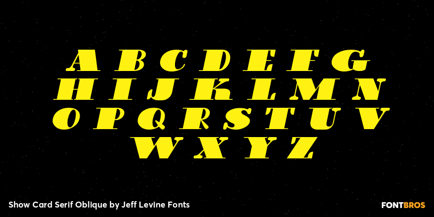 Show Card Serif Oblique Font Poster #1