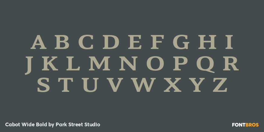 Cabot Wide Bold Font Poster #2