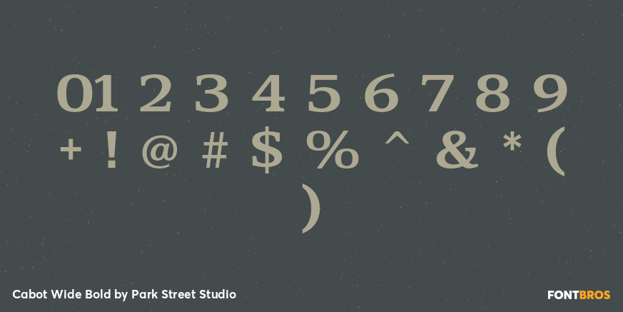Cabot Wide Bold Font Poster #4