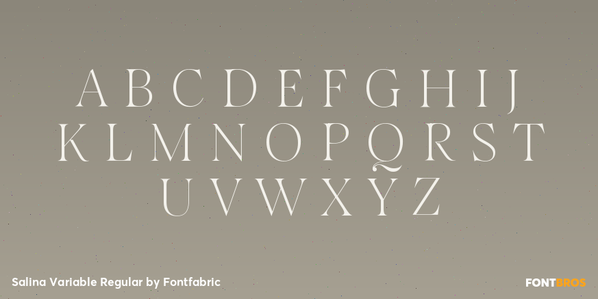 Salina Variable Regular Font Poster #2