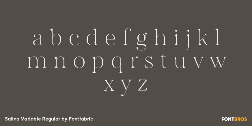 Salina Variable Regular Font Poster #3