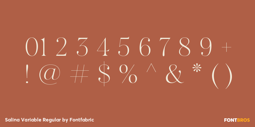 Salina Variable Regular Font Poster #4