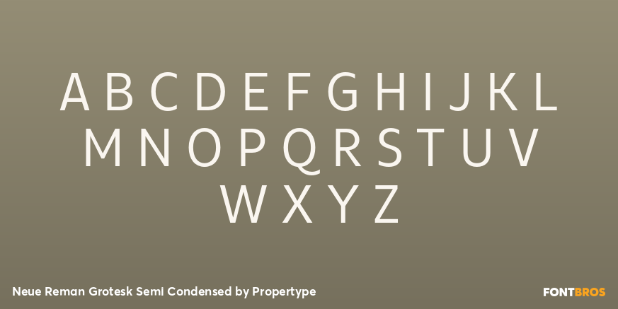 Neue Reman Grotesk Semi Condensed Font Poster #2