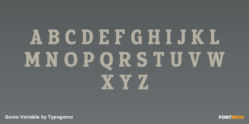 Gonia Variable Font Poster #2
