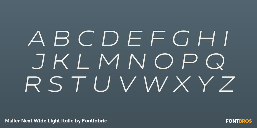 Muller Next Wide Light Italic Font Poster #2