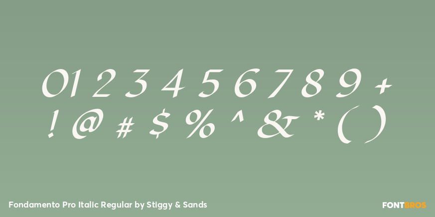Fondamento Pro Italic Regular Font Poster #4