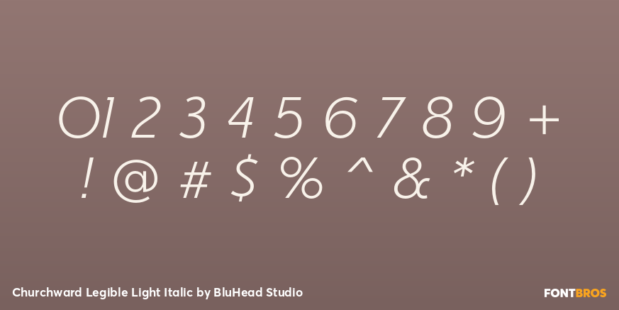 Churchward Legible Light Italic Font Poster #4
