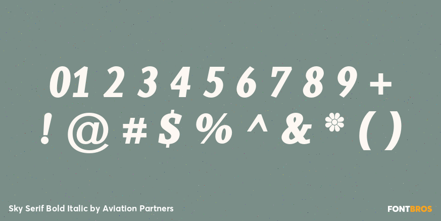 Sky Serif Bold Italic Font Poster #1
