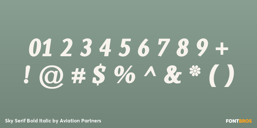 Sky Serif Bold Italic Font Poster #4