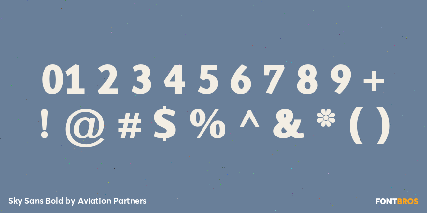 Sky Sans Bold Font Poster #4