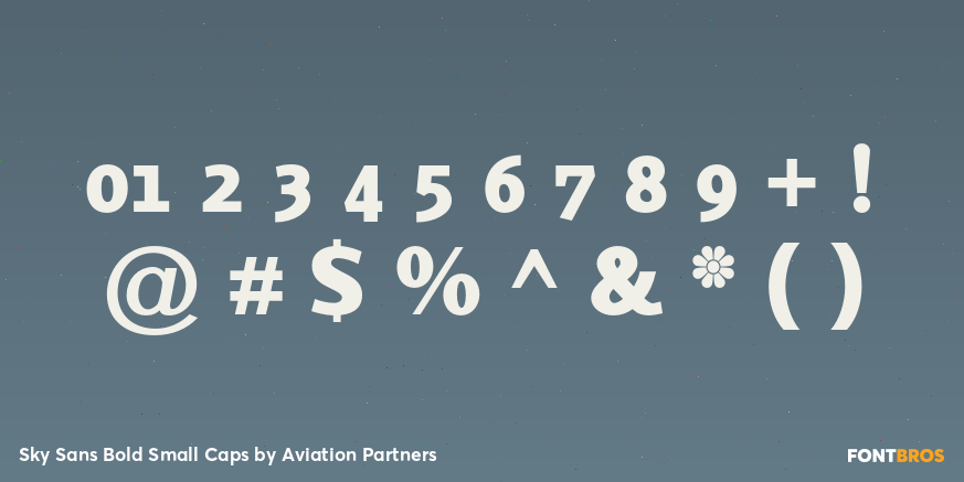 Sky Sans Bold Small Caps Font Poster #1