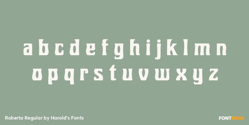 Roberta Regular Font Poster #3