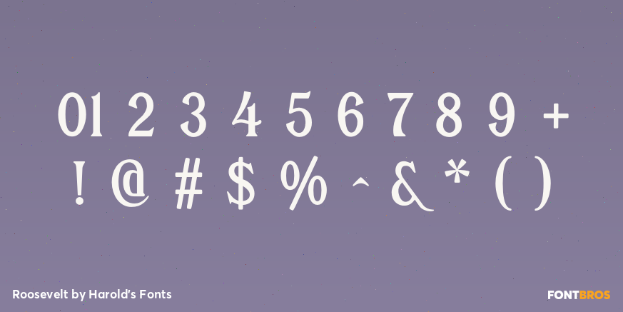 Roosevelt Font Poster #4