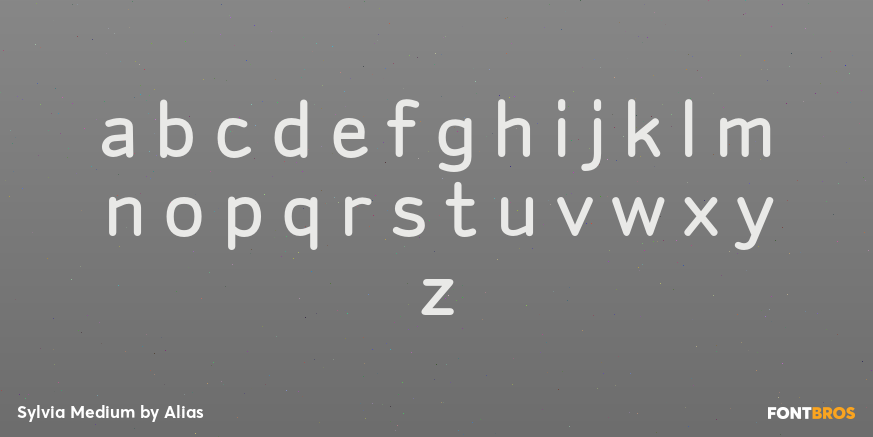 Sylvia Medium Font Poster #3