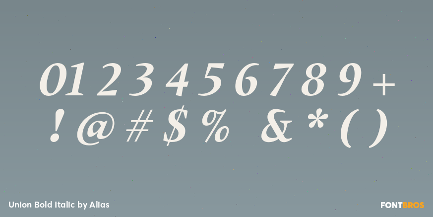 Union Bold Italic Font Poster #1