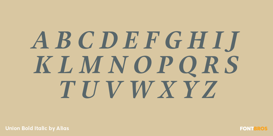 Union Bold Italic Font Poster #2