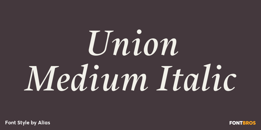 Union Medium Italic Font Poster #1