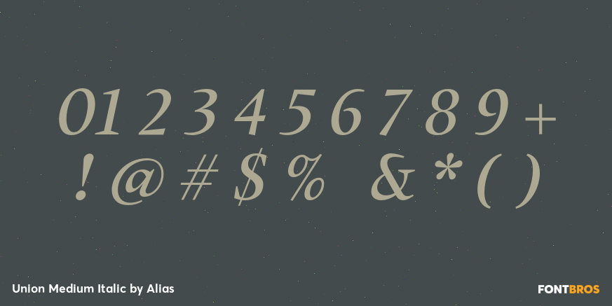 Union Medium Italic Font Poster #1