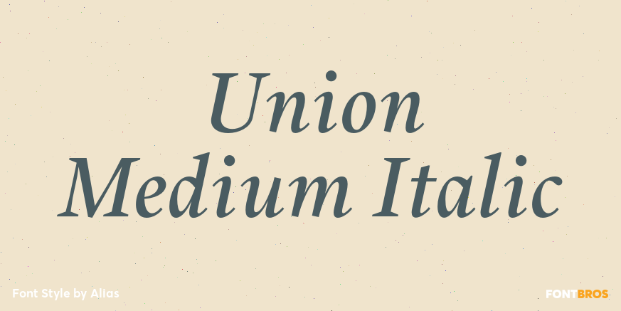 Union Medium Italic Font Poster #1