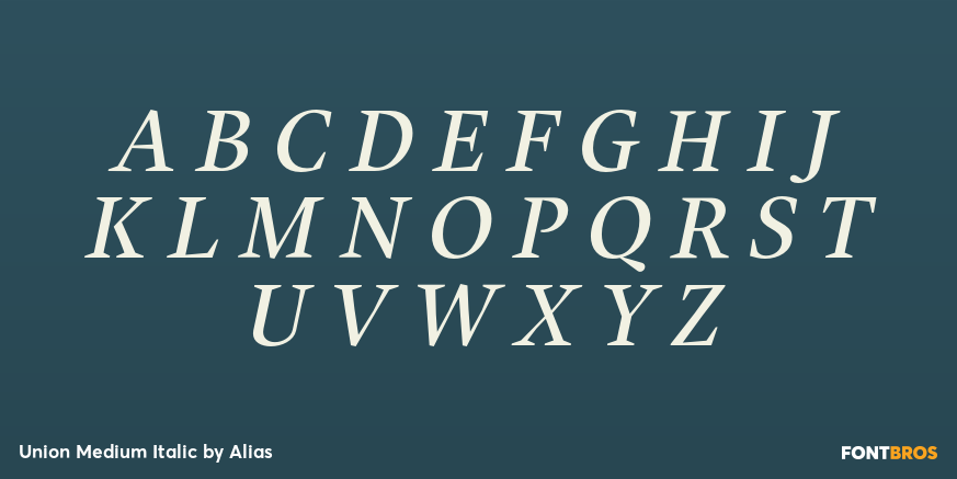 Union Medium Italic Font Poster #2