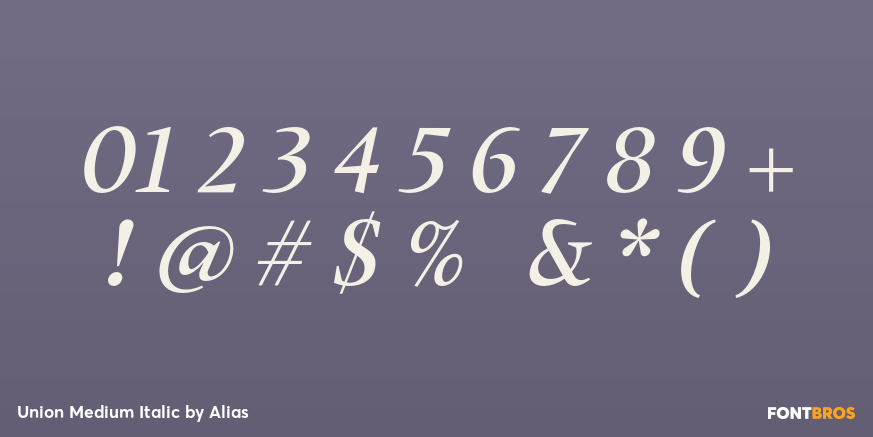 Union Medium Italic Font Poster #4