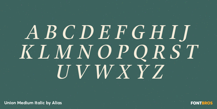 Union Medium Italic Font Poster #1