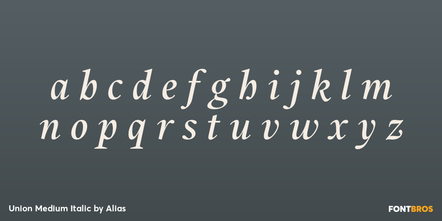 Union Medium Italic Font Poster #1