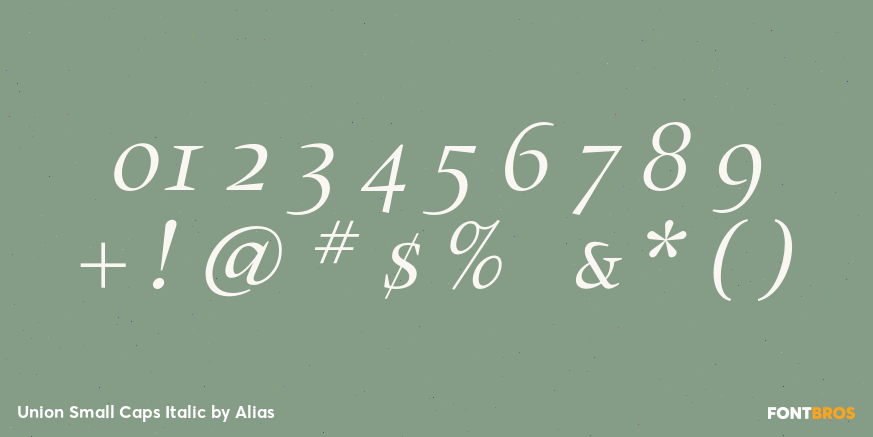 Union Small Caps Italic Font Poster #4