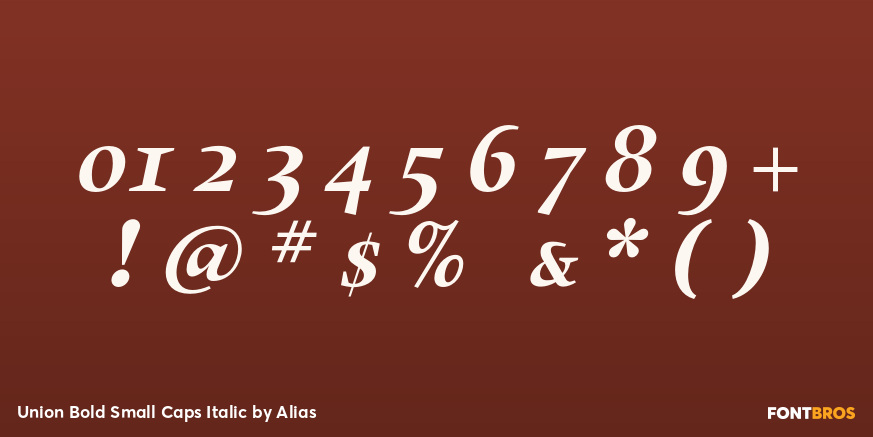 Union Bold Small Caps Italic Font Poster #1