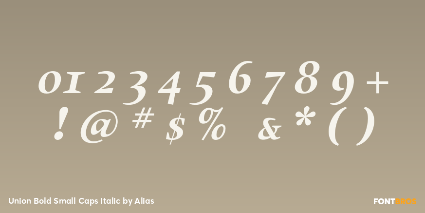 Union Bold Small Caps Italic Font Poster #4
