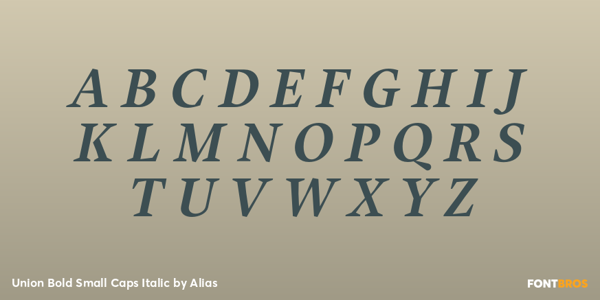Union Bold Small Caps Italic Font Poster #1
