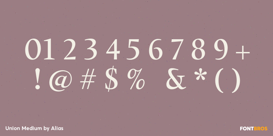 Union Medium Font Poster #1