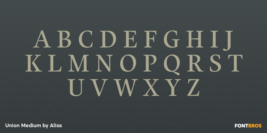 Union Medium Font Poster #2