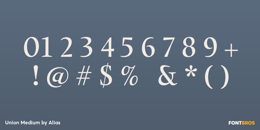 Union Medium Font Poster #4