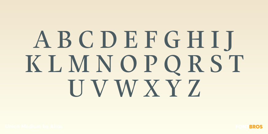 Union Medium Font Poster #1